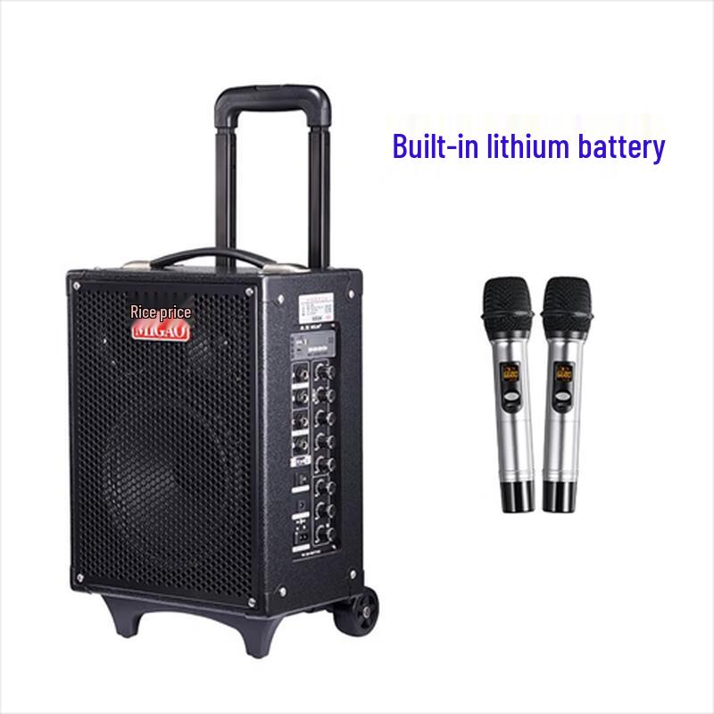 Migaol MG820A-LI Portable Rechargeable Instrument & Karaoke Speaker CN plug (adapter included)