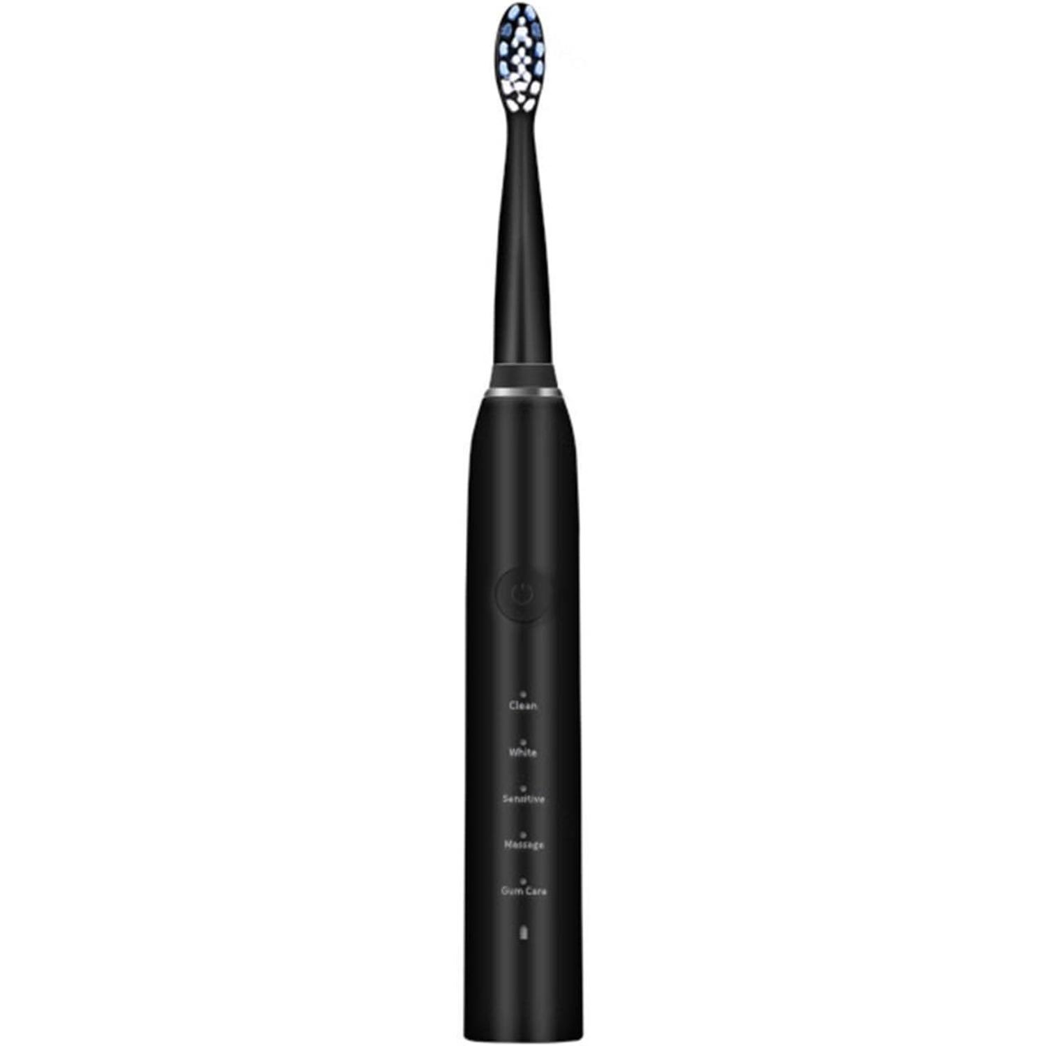Electric Toothbrushes - Electric Toothbrush for Adults and Kids, American Dental Association Accepted, Rechargeable Travel Sonic,B
