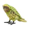 BH7845 HANSA Kakapo 33