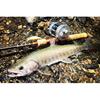 Tiemco  Tiemco  Fenwick Fs53cl 3j Total Length 5.3 Ft  162 Cm 