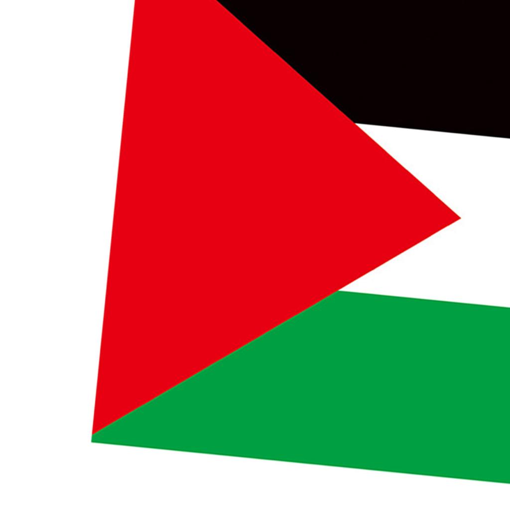 Palestine Flag with 2 Brass Grommets Vivid Color Polyester Double Stitched Colorfast Country Flag