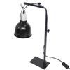 Adjustable Reptile Basking Floor Lamp with Retractable Stand for Lizards, Geckos, Parrots, Birds, and Plants