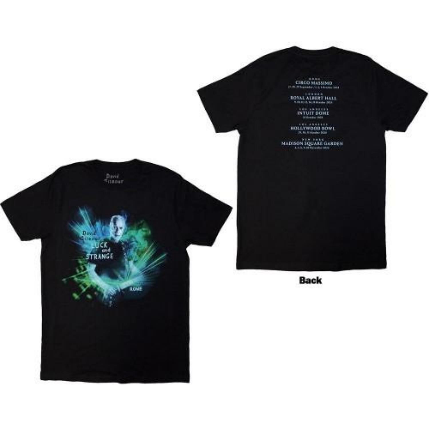 David Gilmour Unisex Adult Luck & Strange Rome Back Print T-Shirt S чёрный