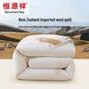 Hengyuanxiang Class A Antibacterial New Zealand Pure Wool Quilt