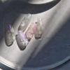 New Stickers for Nails Beach Ocean Shell Conch Nail Sticker Self-adhesive Nail Art Stickers Manicure Decals ZJT20