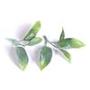 Green Plant Leaf Wedding Wrist Corsage & Hat Decoration