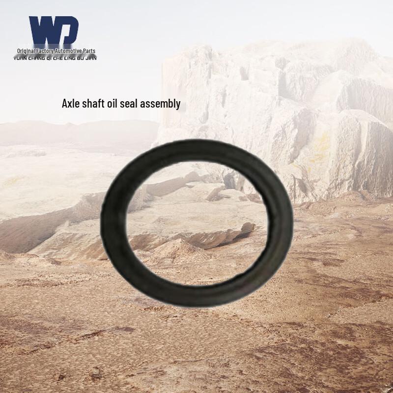 WD Dongfeng EQ1118GA Half-Shaft Oil Seal Assembly
