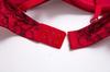 Sexy Lingerie Bra and Shorts Set [Unigrand] (C75/M, Red)