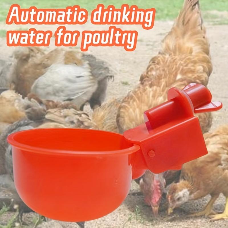 5/10cs Poultry Automatic Water Dispenser Chicken Drinking Bowl Pigeon Automatic Water Dispenser Small Chick Feeding Bowl