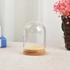 Transparent Glass Plant Flower Toy Display Cloche Bell Jar Dome Wooden Base Tray