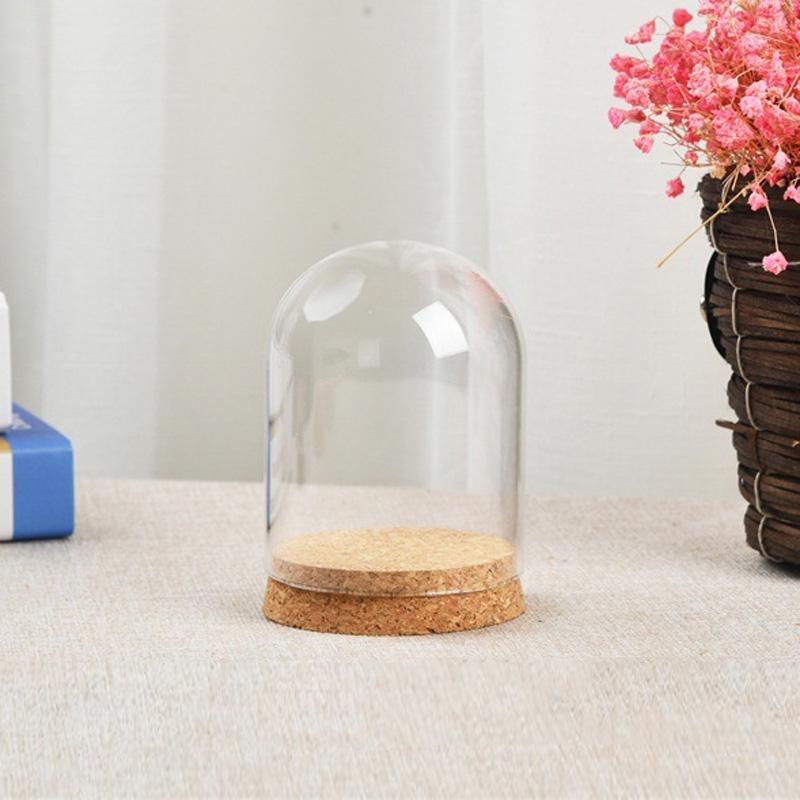Transparent Glass Plant Flower Toy Display Cloche Bell Jar Dome Wooden Base Tray