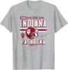Indiana Hoosiers Rose Bowl 20252026 CFP Quarterfinal Gray TShirt Unisex T-Shirt