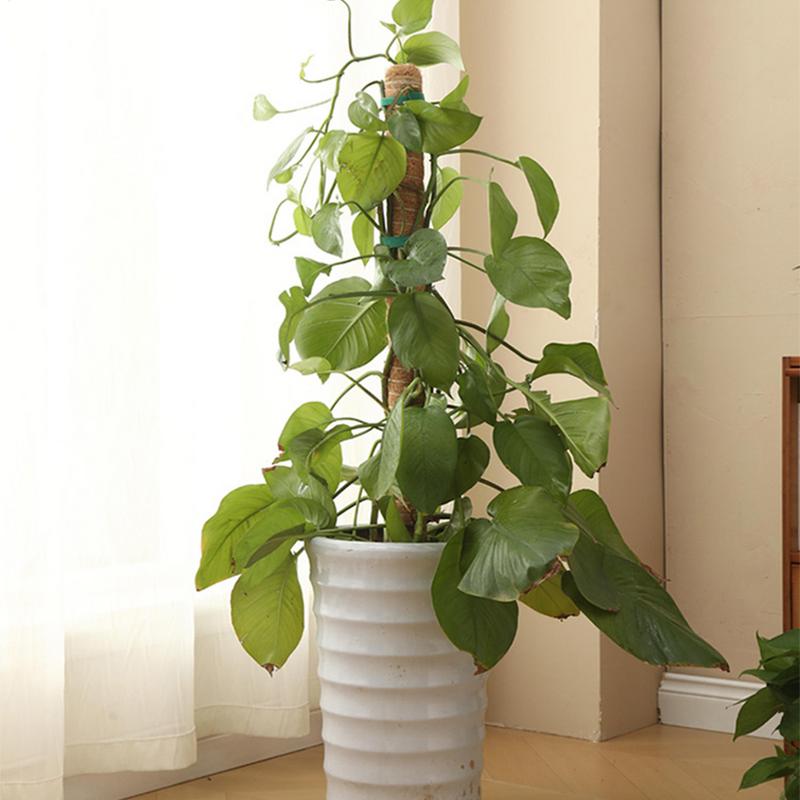 Monstera Pole Coir Totem Plant Climbing Pole Monstera Stake Sturdy Structure Gardening Cocoanut Stick Indoor Trellis for Pothos