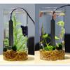 USB Charging Mini Aquarium Heater 5/10W Thermostatic Turtle Heater  For Small Fish Tank