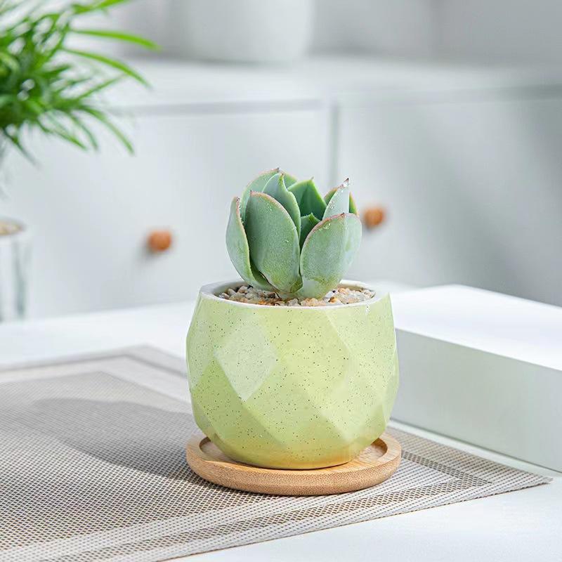 Nordic Decoration Coffee Table Restaurant Porch Study Colorful Ceramic Geometric Plant Flower Pot