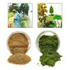 Miniature Synthetic Turf Ground Cover for Model Architecture Layout Props Teens