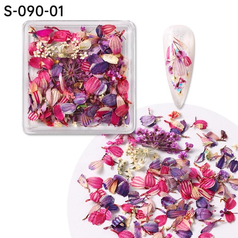1Box Nail Art Flower Decoration Delikatne suszone kwiaty Nail Art Decorations Wykwintne piękno Nail Art dla akcesoriów Charms
