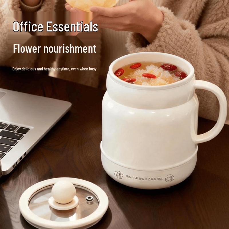 ZISIZ Multifunction Portable Electric Kettle