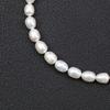 [COAI] Freshwater Pearl June Birthstone Power Stone Necklace for Women