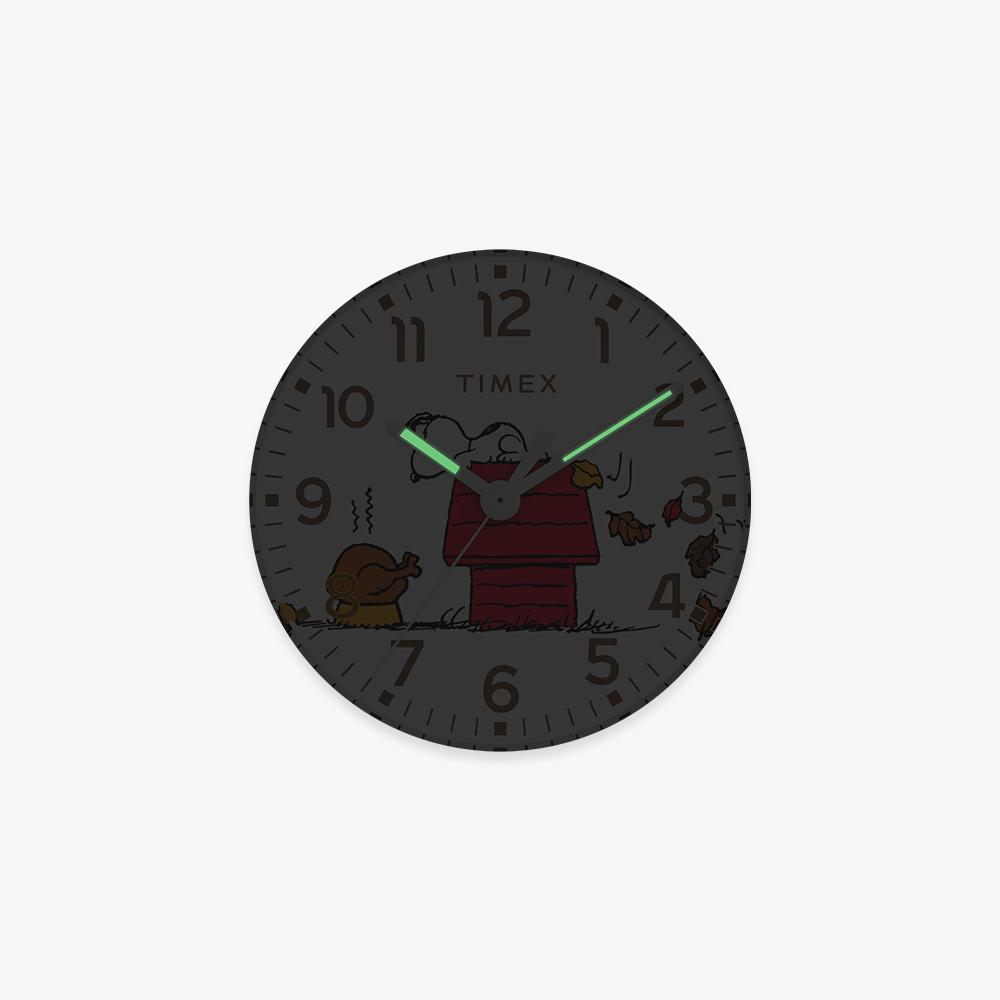 [Timex] Peanuts Standard Snoopy Brown Leather Watch 40mm TW2W44300