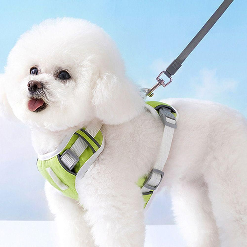 Mesh Dog Harness Breathable Dog Vest Fashion Pet Chest Strap  Walking
