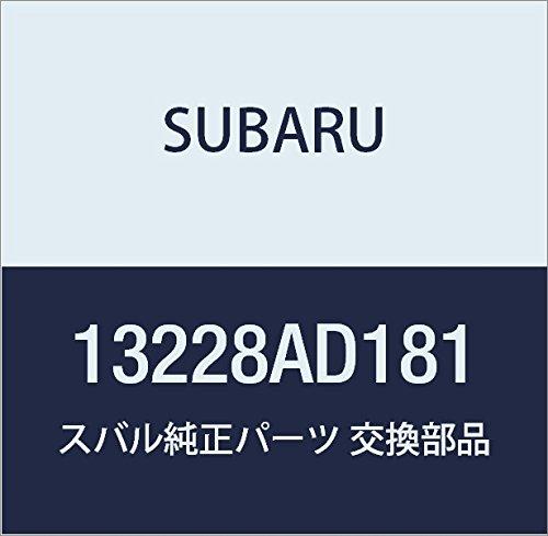 

SUBARU Genuine Parts Lifter Valve, Part Number: 13228AD181