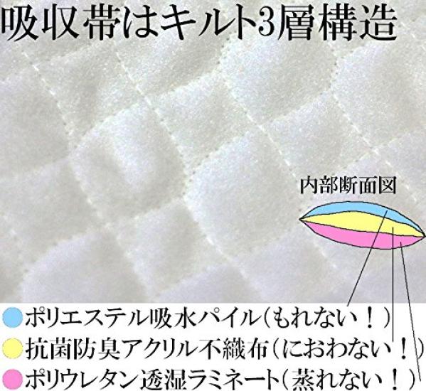 Trust Map Incontinence 50cc In Perfect for Travel and for Moderate Includes Urine Odor Women's Briefs, 2-Piece Set, [Made Japan, Driving,