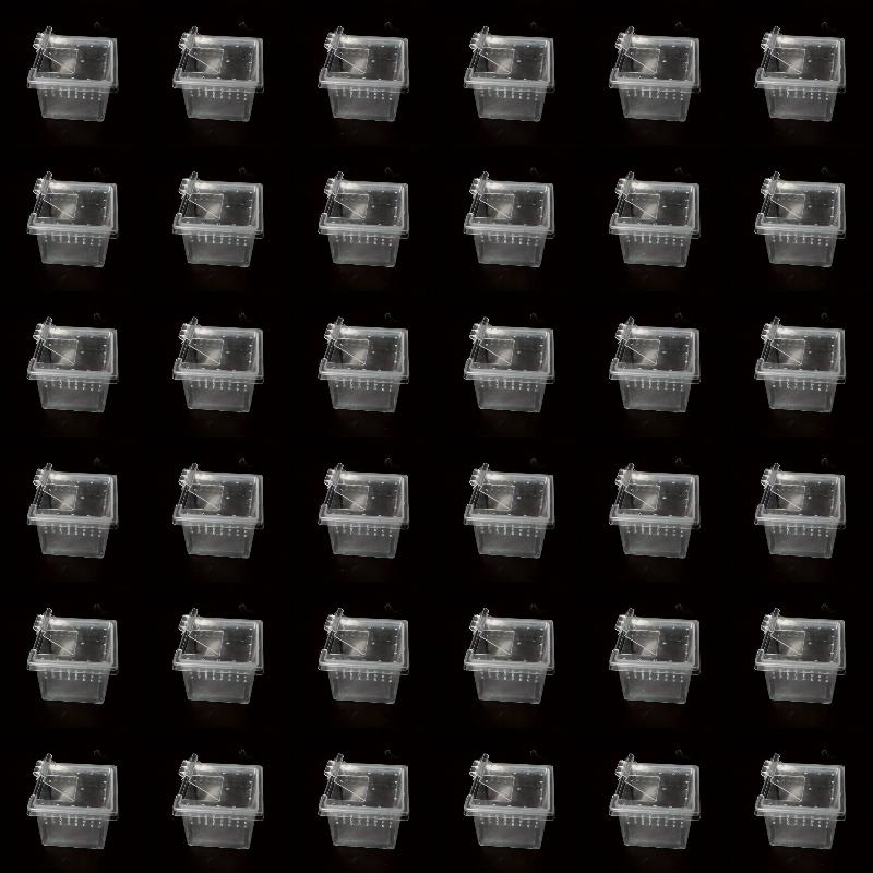 

36pcs Insect Spider Terrarium Breeding Boxes with Lid Transparent Hatching Containers for Small Reptiles Scorpions and Centipede