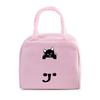 Women Men Oxford Lunch Bag Cartoon Cat Series Graphics Portable Insulated Thermal Bag School Teacher Student Lunch Box Handbag