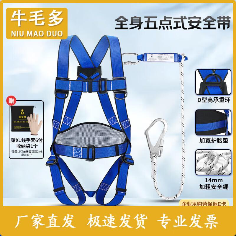 Industrial 5-Point Full-Body Fall Protection Harness