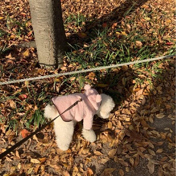 Montberua Bär Winterfleece Geschirr Kleidung Polsterung, rosa