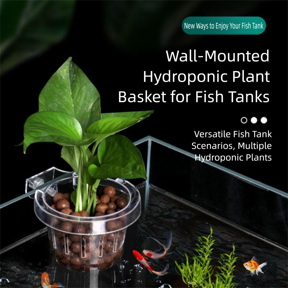 Transparent Fish Tank Hydroponic Planting Basket Water Plant Stand Glass Pot Aquarium Planter Cups Planted Tank