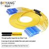 Boyang Pre-terminated 12-Core SC-SC Single-Mode Fiber Optic Patch Cable