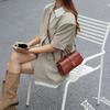 2025 Spring Fashion Genuine Leather Women's Crossbody Handbag with Versatile Design and Wide Shoulder Strap