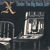 LP Record X  Under The Big Black Sun FP19674 Fat Possum Reco 2019 US Rock