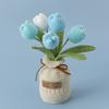 2025 Tulips Crochet Flowers with Kintted Potted Kinttted Sunflower Pot Desk Accessories Handwoven Plant Pot Home Decor Gift