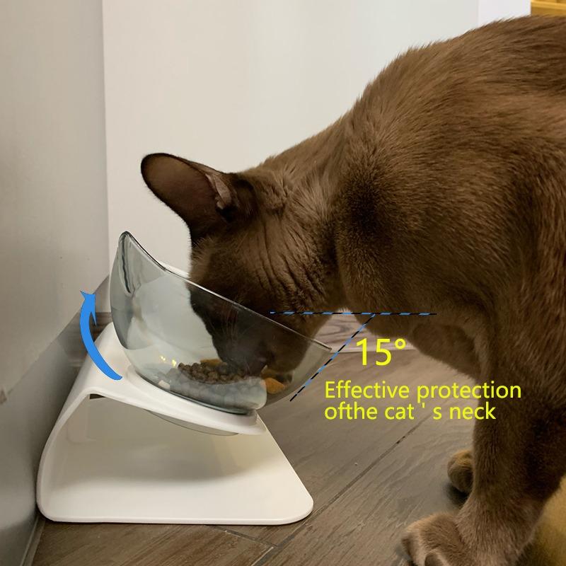 Raised Cat Bowl with Stand 15° Tilted Cat Bowls for Kittens Elevated Cat Bowl Anti Vomiting Double Cat Bowls Plastic Transparent