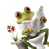 Frog Toilet Sticker Waterproof Funny Frog Reading Toilet Lid Decals Peel And Stick Removable Animal Sticker for Bathroom WC Wall Door Decor