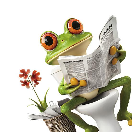 Frog Toilet Sticker Waterproof Funny Frog Reading Toilet Lid Decals Peel And Stick Removable Animal Sticker for Bathroom WC Wall Door Decor