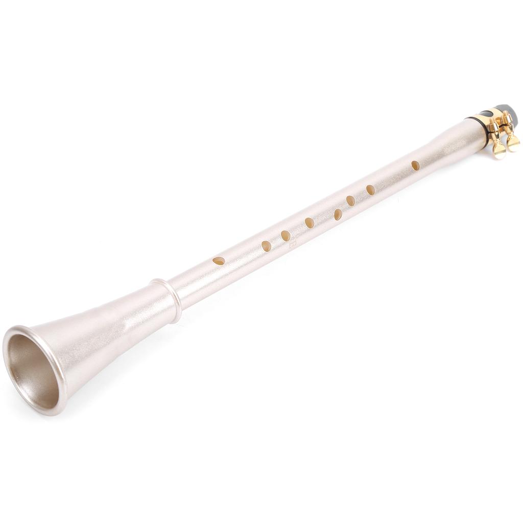 Mini Klarinette Eb ABS Kompakt Saxophon Professionell Anfänger Musikinstrument Zubehör