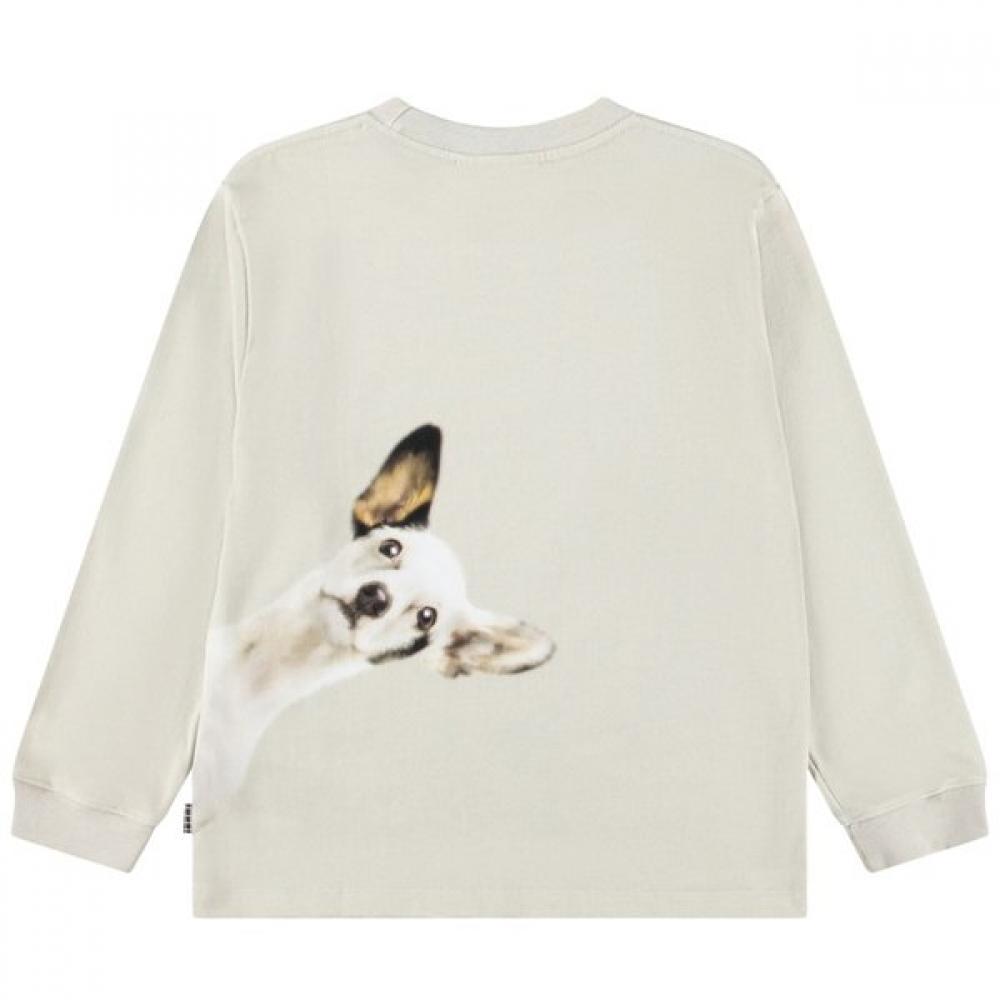 Mollo Dog T shirT Rube Curious 9 12 Years akif9Ts013b 5925