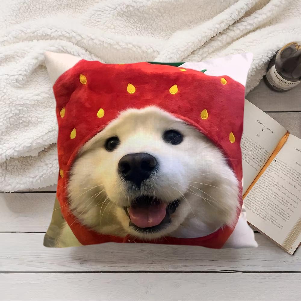 Cute Dog Cat Kawaii Gift Cushion Cover Silky Short Plush Invisible Zipper Dustproof Sofa Pillow Case For Home Decor