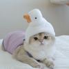 Pet Headgear, Starfish, Snapper Fish Hats, Piggy, Chick, Cat, Bear, Panda Headwear, Funny Costumes