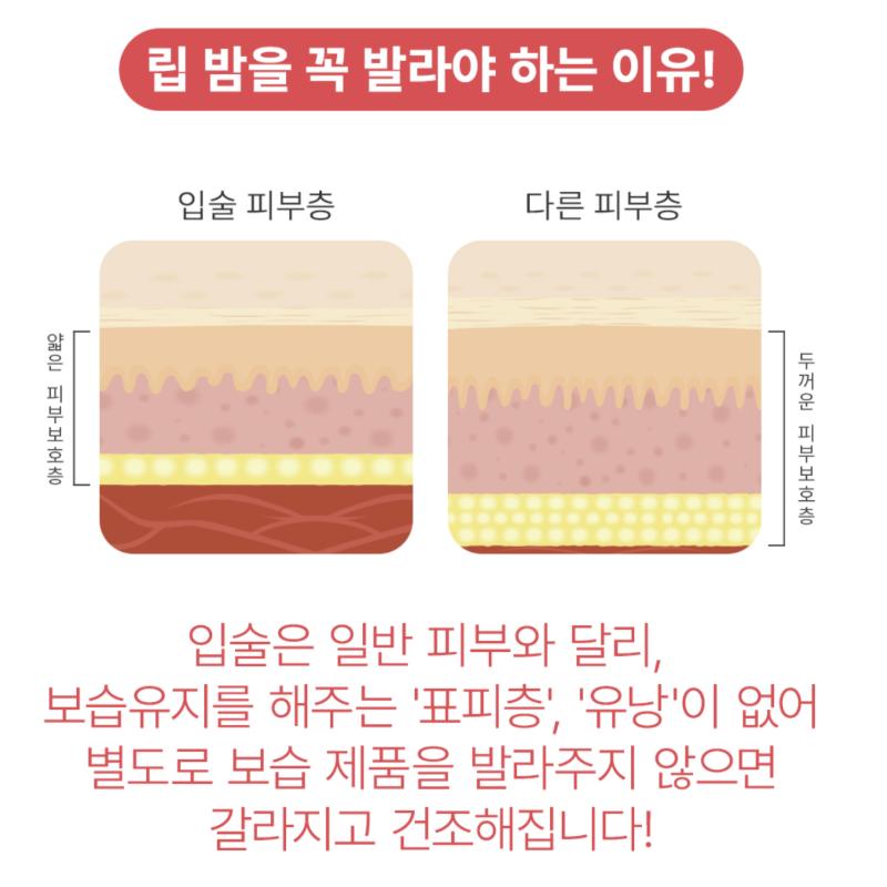 TENZERO Essential Lip Sleeping Pack Berrypolis 15g