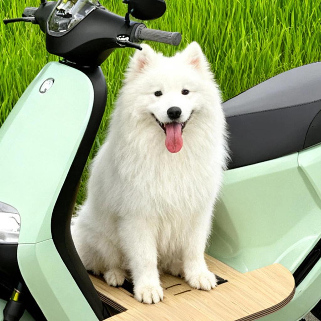 Wooden Dog Bike Rack, Front for Electric Vehicles, Easy to Install.