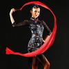 With Rod Gymnastics Ribbon Silk Dance Ribbon New Dancing Ribbons