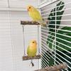 4PCS Natural Wood Parrot Perch Toy Set Includes Swing Platform And Climbing Accessories For Bird Engaging Play