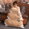 50-120cm New Doll Hamster Plush Toy Soft Stuffed Animals Pillow Girls Birthday Gifts Winter Hand Warm