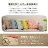 IKEHIKO Made In Organic 40 X 40 Box Cushion Cushion, Square, Thick, Portable, Japan, Cotton, 100% Cotton, Clara, Plain, Washable, Cushion, Approx. Cm,