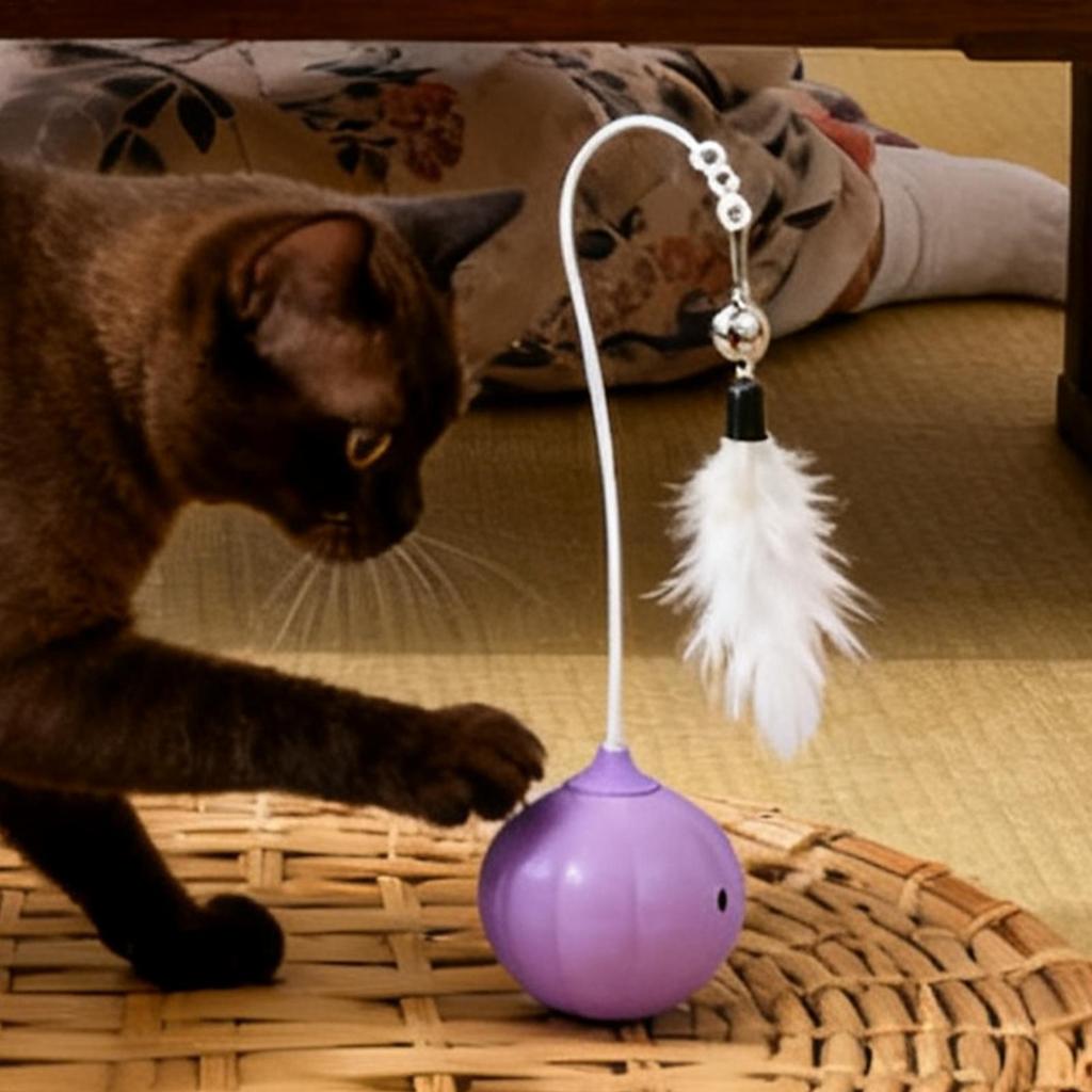 Interactief Kattenspeelgoed Huisdier Oefening Prikker Stokje Aanraakgevoelig Kittenspeelgoed Voor Kleine Middelgrote Kittens Binnen Buiten Tuinen Veranda's